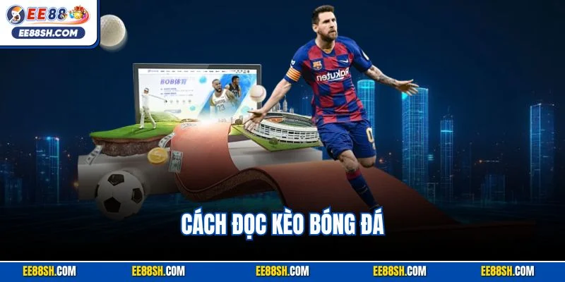 Cách Đọc Kèo Bóng Đá| Hướng Dẫn Dễ Hiểu Cho Người Mới Chơi 1 Cách đọc kèo bóng đá
