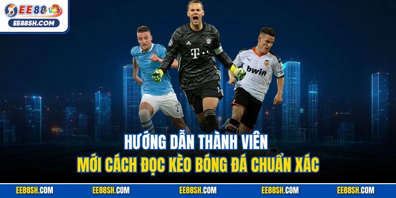 Cách Đọc Kèo Bóng Đá| Hướng Dẫn Dễ Hiểu Cho Người Mới Chơi 3 Hướng dẫn thành viên mới cách đọc kèo bóng đá chuẩn xác